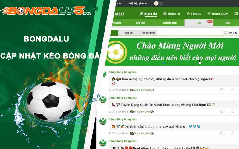 Thường xuyên cập nhật kèo tỷ lệ bóng đá mới